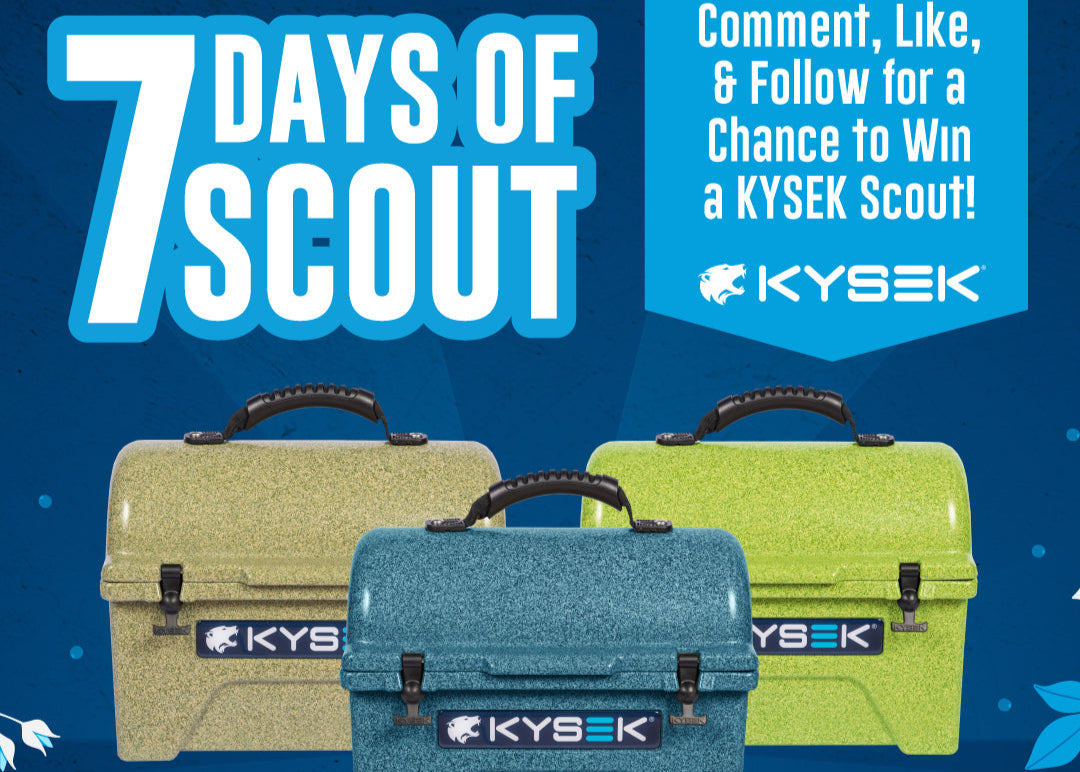 7 Days of Scout
